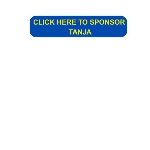 Yellow button with description for donations